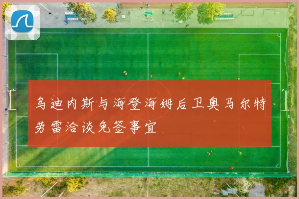 乌迪内斯与海登海姆后卫奥马尔特劳雷洽谈免签事宜