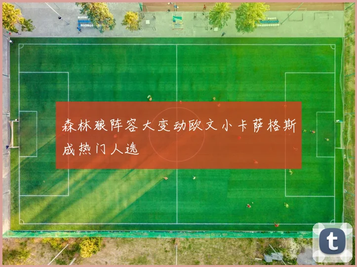 森林狼阵容大变动欧文小卡萨格斯成热门人选