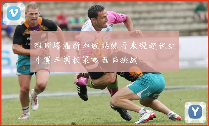 维斯塔潘新加坡站练习表现起伏红牛赛车调校策略面临挑战